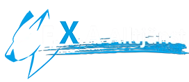 Logo E.X.A Alltjänst