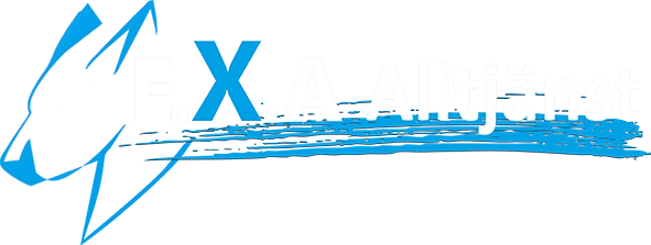 Logo E.X.A Alltjänst